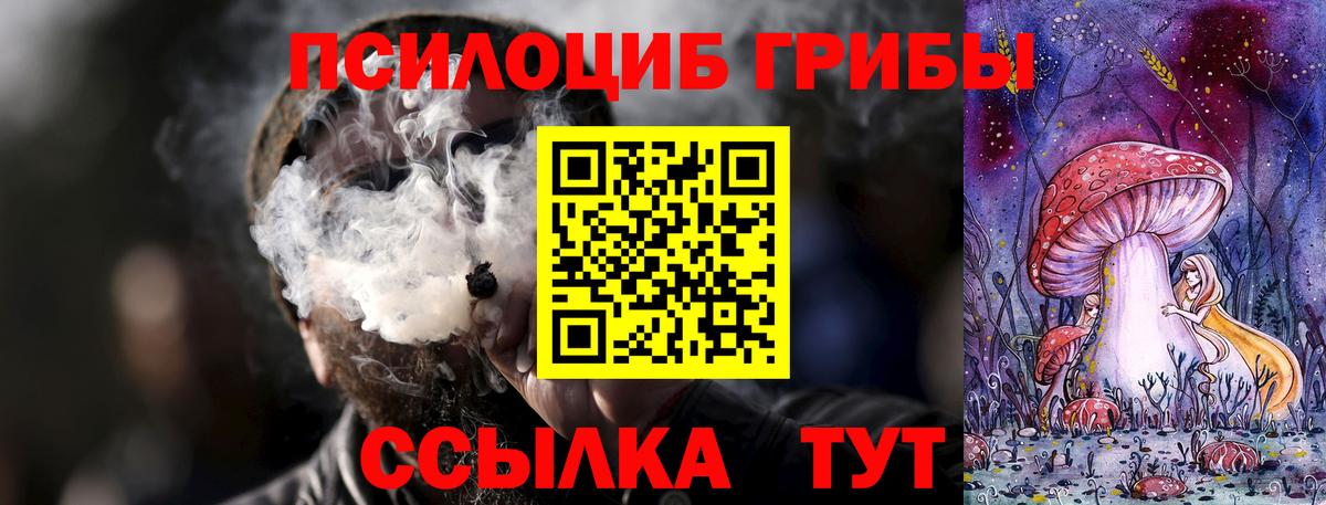 Галлюциногенные грибы Psilocybe  Галлюциногенные грибы прущие грибы  Вход с VPN  Муром 